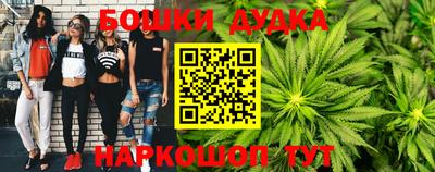 гидра Заводоуковск