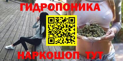 гидра Заводоуковск