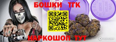 гидра Заводоуковск