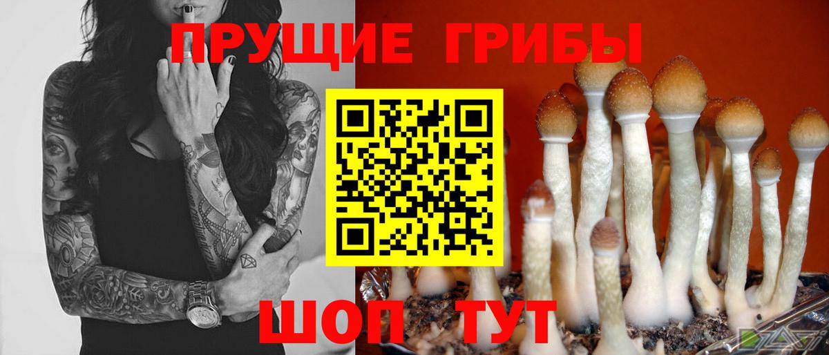 Псилоцибиновые грибы MAGIC MUSHROOMS Луга